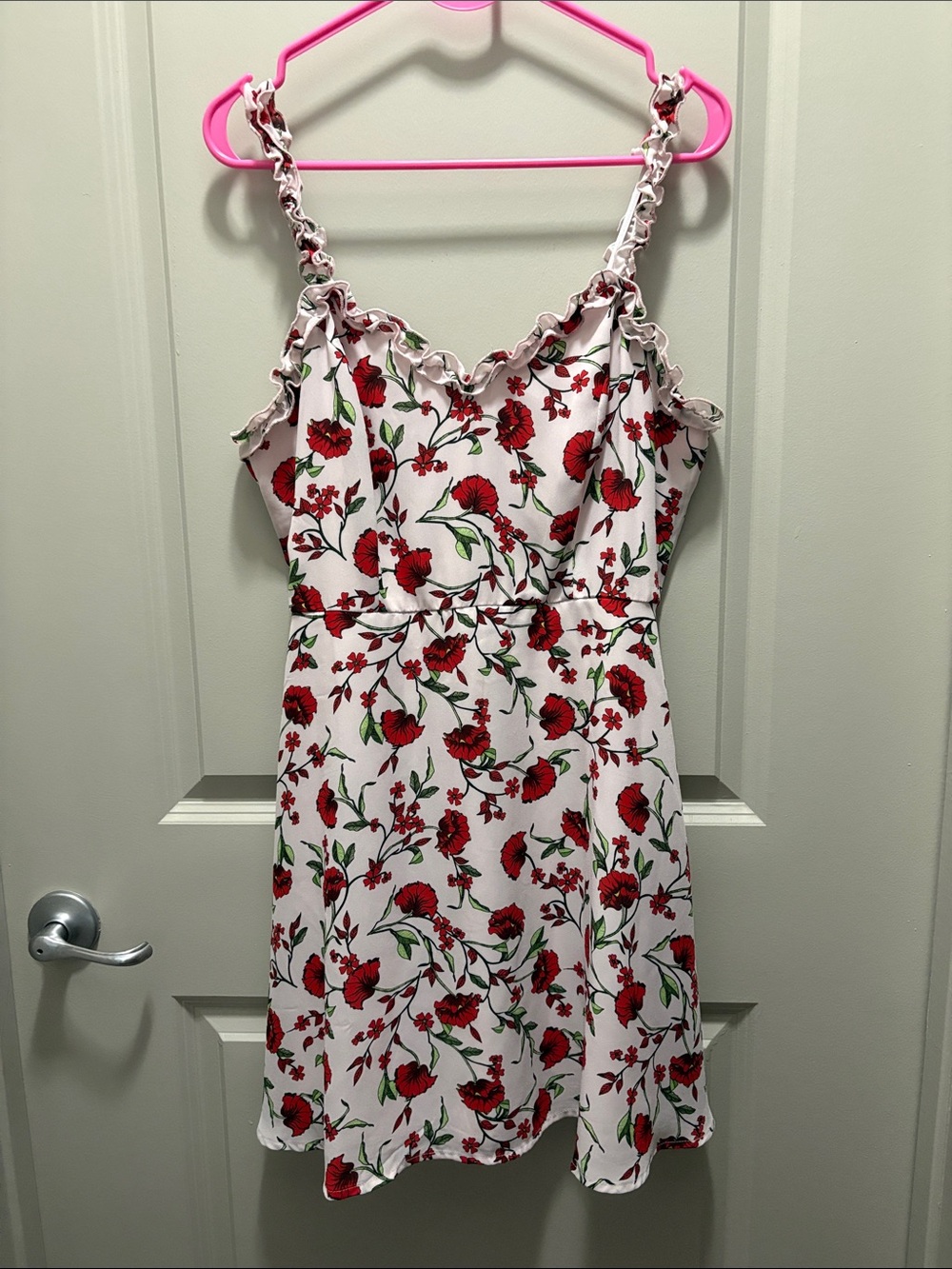 Lulu's Pink Mini Dress with Red Floral Print and Green Leaves